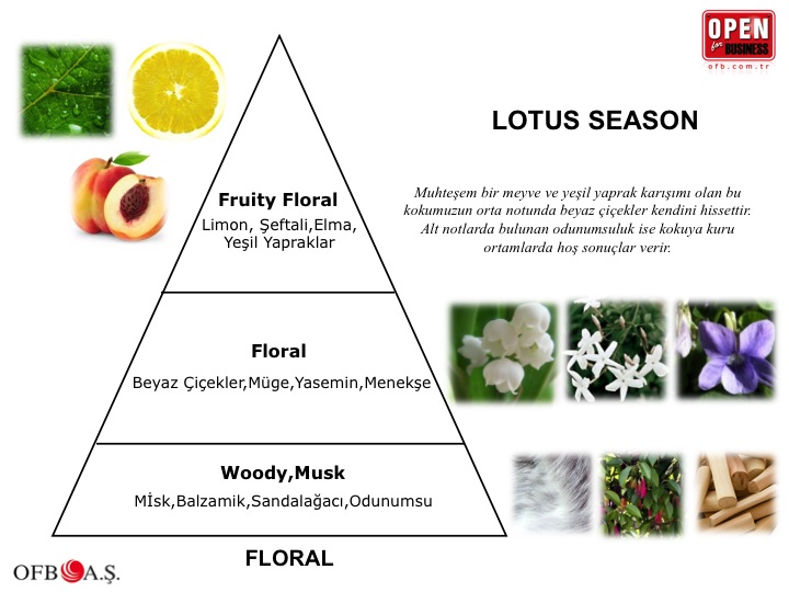 Kurumsal koku Lotus Season